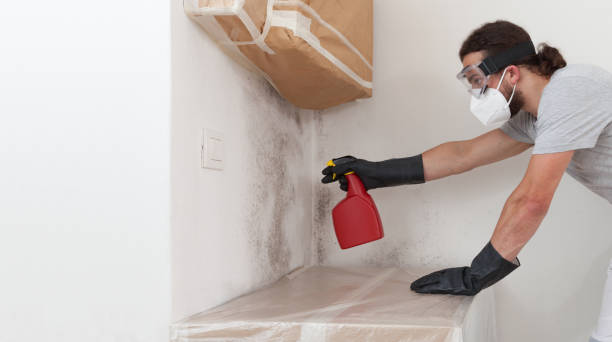 Professional Bathroom Mold Removal technician working in Angier, NC