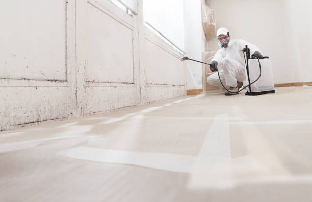 24/7 Emergency Bathroom Mold Removal experts in Angier, NC