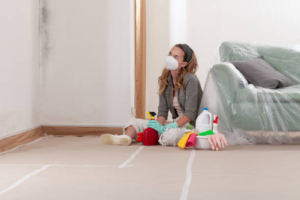 Reliable Bathroom Mold Removal contractor in Angier, NC by 24 Hour Mold Removal