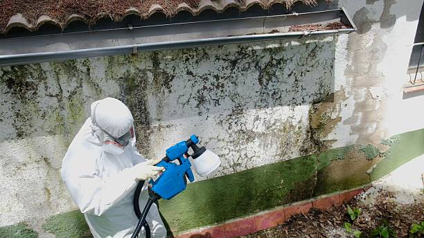 Top rated local Bathroom Mold Removal specialists in Angier, NC